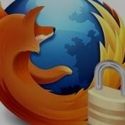 Mozilla Firefox Most Important Add On NoScript