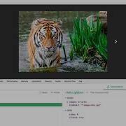How To Make A Lightbox With Vue Js
