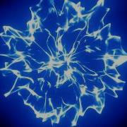 ShockWave Electric Blue With Black Background 480P