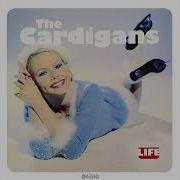 The Cardigans Carnival 432 Hz