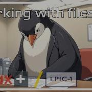 Free Linux LPIC 1 Less Command Module 3 6 Full Free Training Course