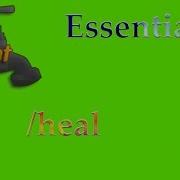 Essentials Programmieren Heal