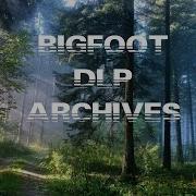 Russian Bigfoot Yeti Almasti Footage 2014