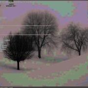 Uniscan 6 1 Detecting PHP CGI Argument Injection