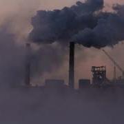 Climate Emergency Feedback Loops