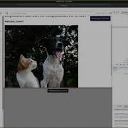 JavaScript Refactoring