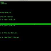 GREP Basics Part 1 Linux Shell Script Tutorial