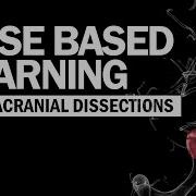 Constructing Case Based Learning Intracranial Dissections