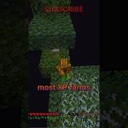 EASY Early Game XP Minecraft Xp
