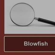 Security Snippets Blowfish