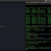 Writeup Fireshell 2019 Leakless Ret2libc