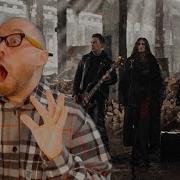 Реакция на Bearwolf Феникс