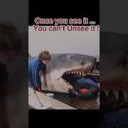 Jaws Film Movie Shark Trending Trend Shortsvideo Shorts Viralshorts 50thanniversary