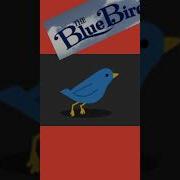 THE BLUE BIRD Movie From 1940 Movies Thebluebird Birds Bird Birdsounds
