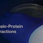 Probing High Density Functional Protein Microarrays Protein Protein Interactions L Protocol Preview