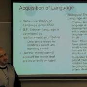 Chapter 4 Cognition