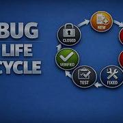 Bug Life Cycle Explained In 5 Minutes With Real Example QA Testing Basics