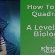How To Use Quadrats A LEVEL IB BIOLOGY