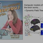 Overview Of The Development Of Visual Working Memory