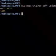 N98 Magerun Self Update Command