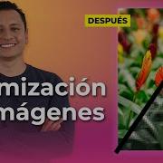 OPTIMIZAR Imágenes Para Página WEB