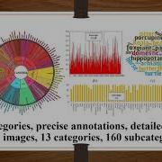 Taking A Deeper Look At Co Salient Object Detection