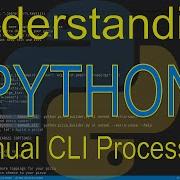 Understanding Python Manual CLI Processing
