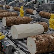 Inside The Factory United States Giant Cassava Flour Process Full Process