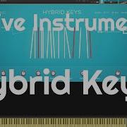 Native Instruments Hybrid Keys No Talking