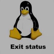 Exit Status In Shell Scripting