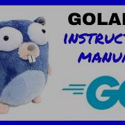 Golang Gopher Instruction Manual
