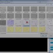 SCA Tutorial Import From File