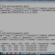 Web For Pentester Example 2 SQL Injection Solution