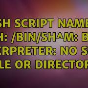 Sh Script Name Sh Bin Sh M Bad Interpreter No Such File Or Directory