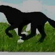 Wolf S Run 2 Animation Testing