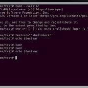 Practical Linux Security Solutions Understand Bash Vulnerability Through Shellshock Packtpub Com
