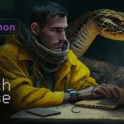 Python Match Case