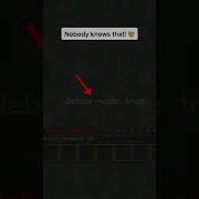 Minecraft Debug Mode Shorts