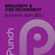 Summer Jam 2011 Radio Edit