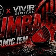 ZIIGAAT X VIVIR DIGITAL RUMBA ТЁПЛЫЕ И МУЗЫКАЛЬНЫЕ ДИНАМИЧЕСКИЕ IEM
