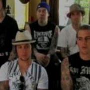 Avenged Sevenfold MTV INTERVIEW LIVE DVD