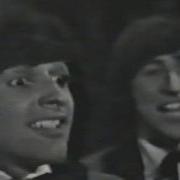 The Beau Brummels Just A Little 1965