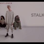 Badflower Stalker Lyric Video