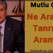 Be Hey Dürzü Neyzen Tevfik Değil Mutlu Çelik Günay Aktürk