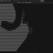 Bad Apple In Terminal Arch Linux