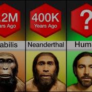 Human Evolution Timeline