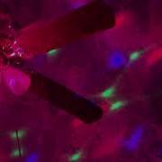 Charli XCX Visions Official Audio