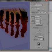 Volume Raycasting Of Human Paw Wmv