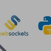 WebSockets With Python And WebSocket API 2020