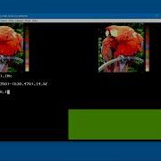 GWBASIC Parrot Real Or Fake 2 Day 117